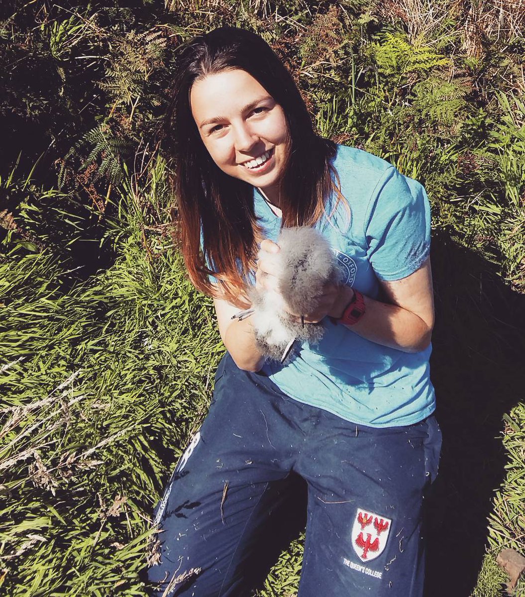  @BrittanyMaxted manages the Poole Harbour Osprey Project, alongside her PhD research into the recovery and  #spatialecology of the British osprey population. She studied biology at Queens from 2015-2018.