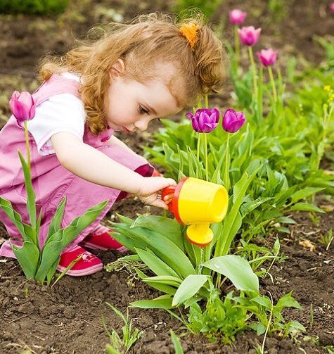 اعتني بمن تحب فالورد ... لايقول لك اسقيني 
صباحكم ورد 🌸🌺