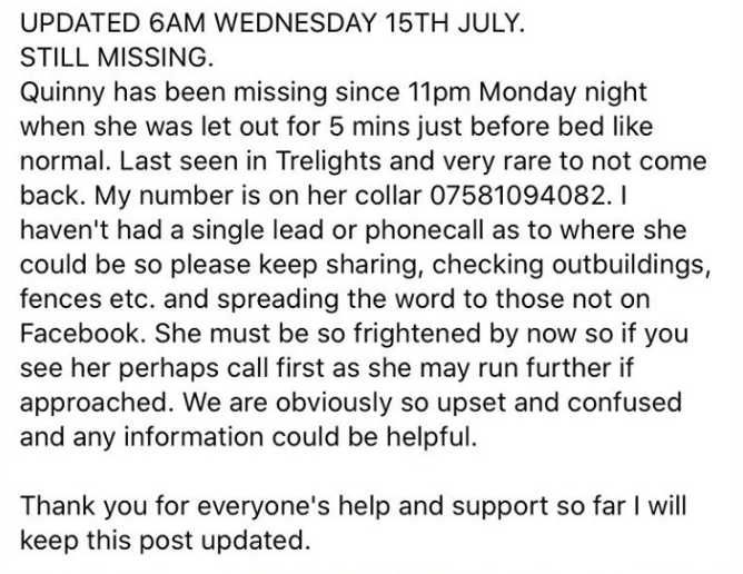 Katie Childs tweet media