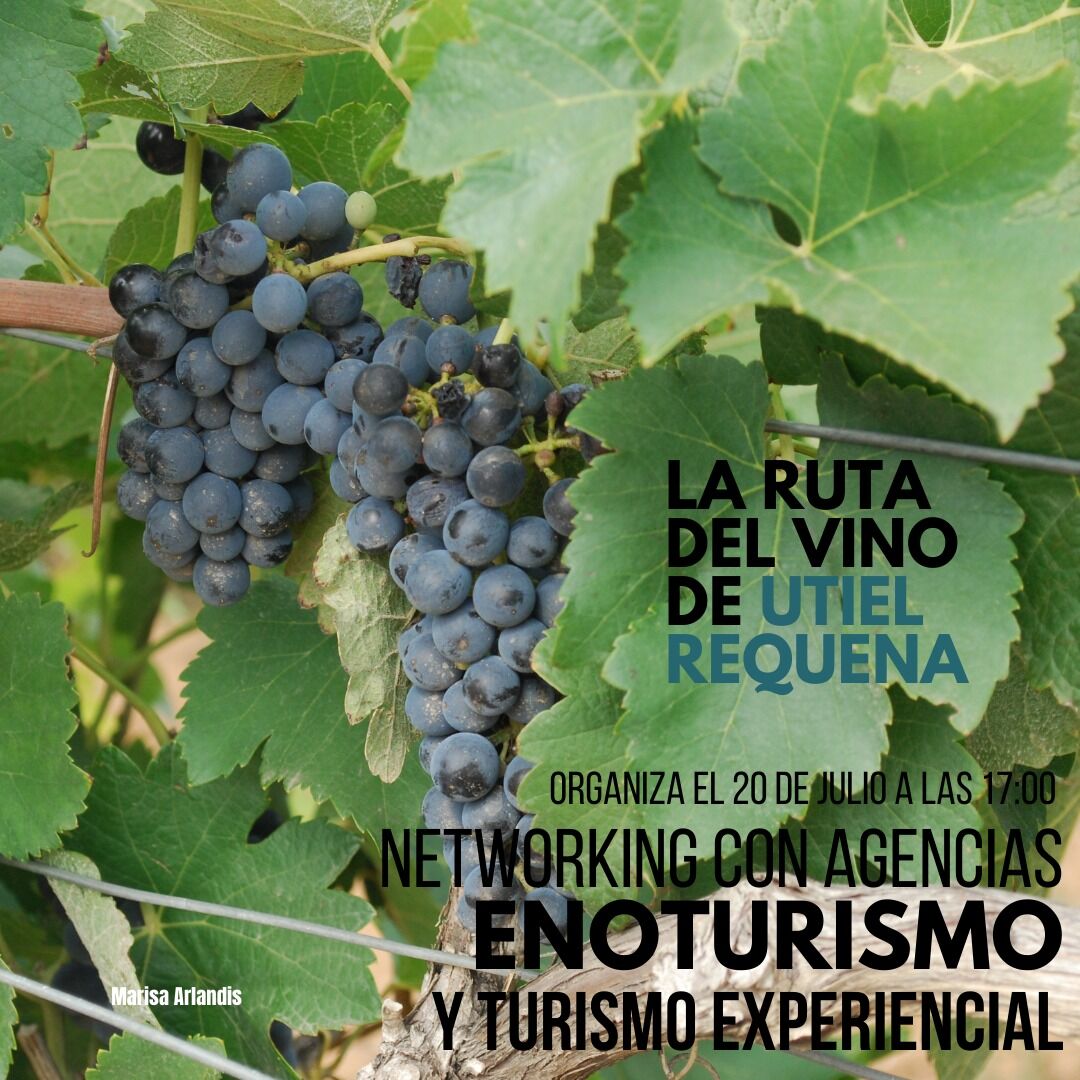 Hemos preparado un networking súper interesante para todos los amantes del sector turístico y del enoturismo. Este networking tendrá lugar el día 20 de julio a las 17:00h y se tratarán los temas: enoturismo y turismo experimental.