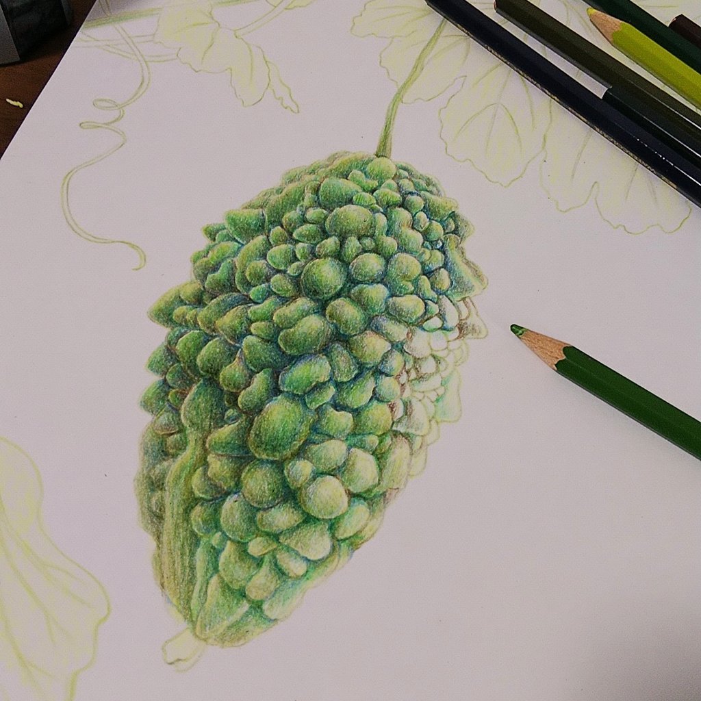 Twoucan ゴーヤ の注目ツイート イラスト マンガ