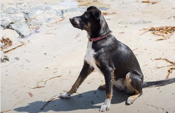 Katie Childs tweet media