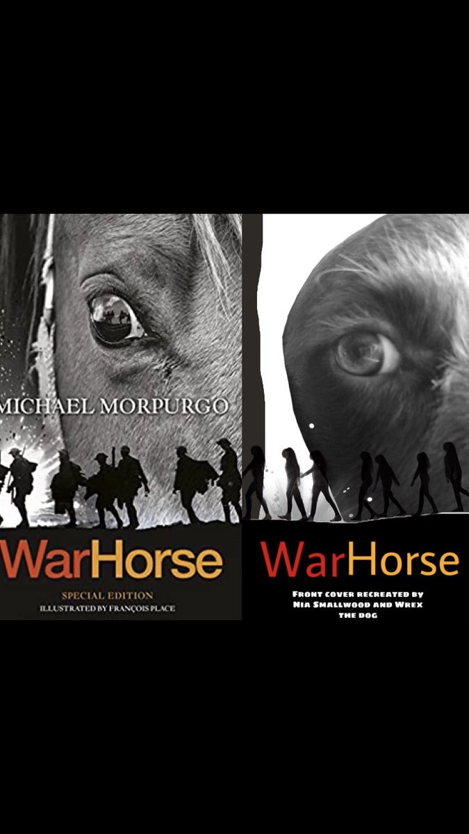 Argoed_English's tweet image. We have had some fantastic book covers created by KS3 to go with the book review they’ve just completed 📖 Da iawn pawb 🎨#SucceedingTogether #BookCover #CreatingatHome