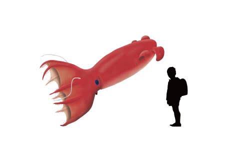 コウモリダコのtwitterイラスト検索結果 古い順