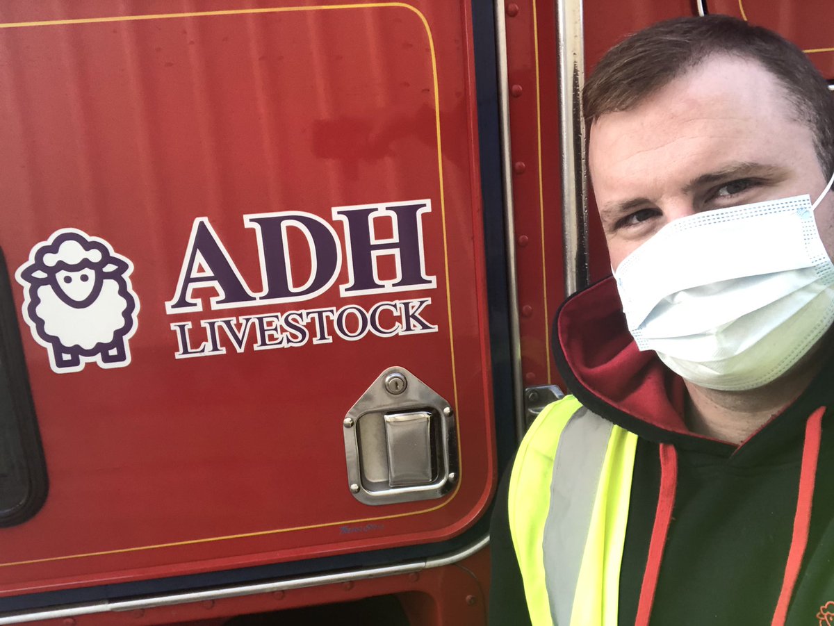 Safety first <a href="/AdhLivestock/">ADH Livestock</a>