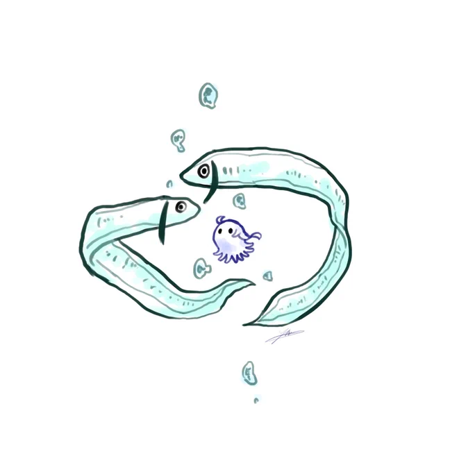 幼生オクタ 