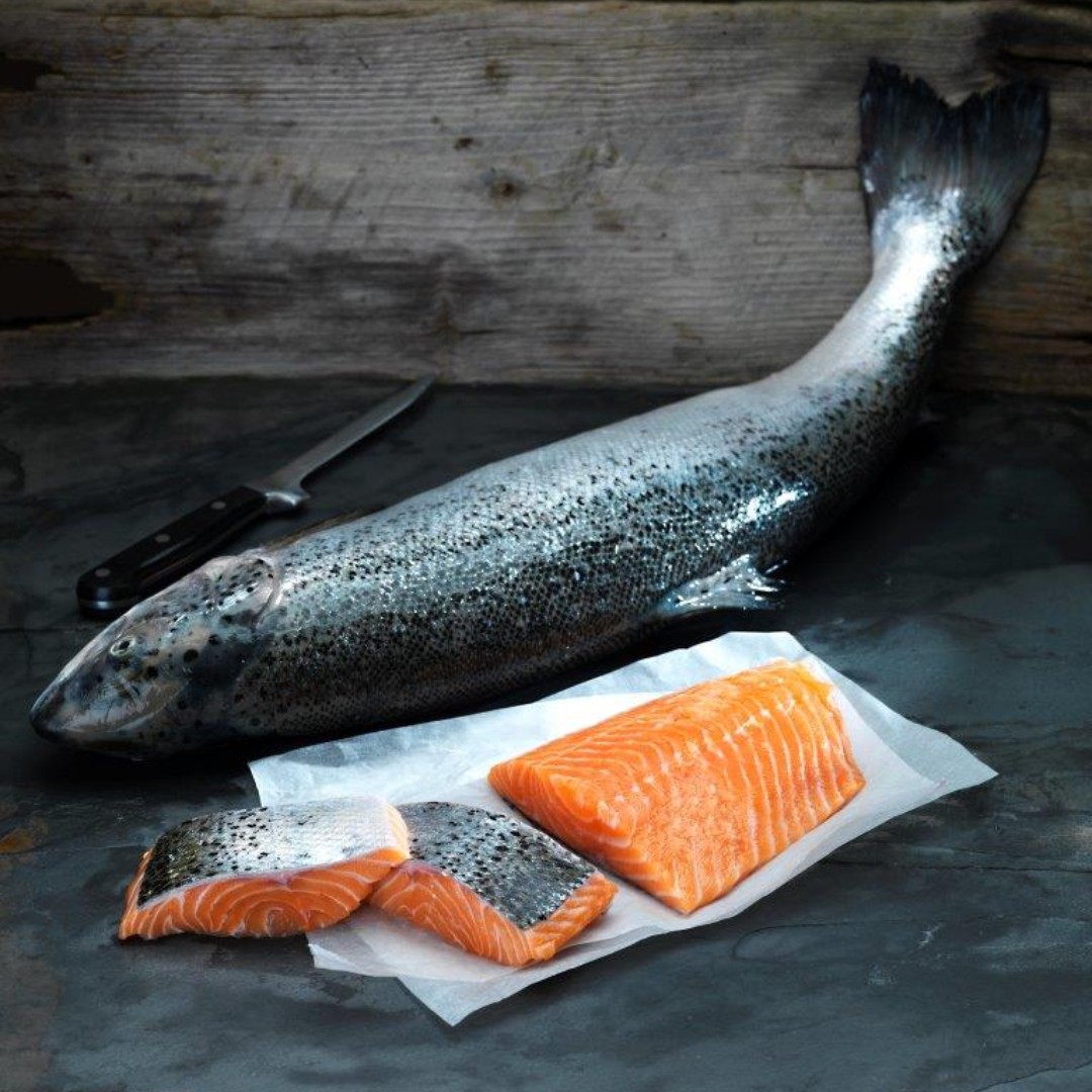 myfishcompany's tweet photo. On promotion this week @BoothsCountry, Wester Ross Premium Scottish Salmon @WesterRossSalmo #scottishsalmon #SalmonLovestory #premiumfish #artisansalmon #rspcaapproved https://t.co/cPfrlkqVGN