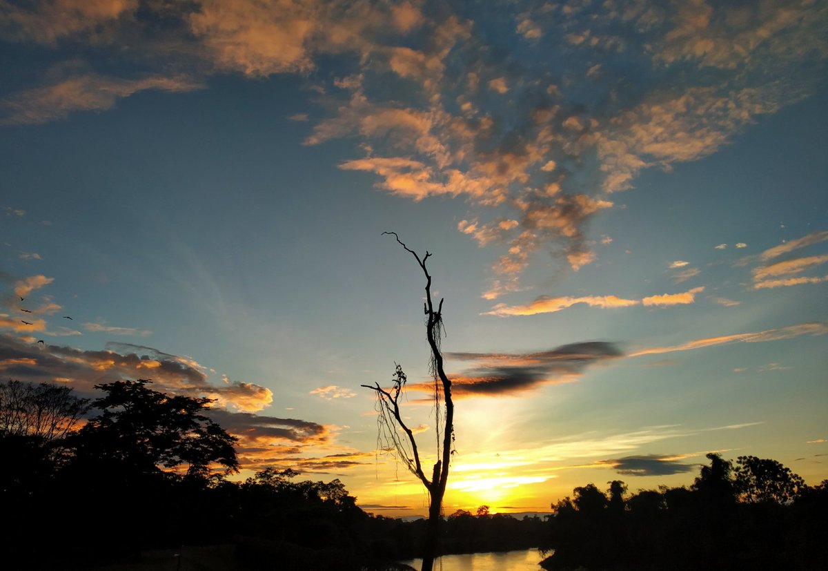 O SUN of real peace! O hastening light!O free and extatic! O what I here, preparing, warble for!O the sun of the world will ascend, dazzling, and take his height-- #sunofnortheast  #sunsetphotography  #goldenhour  #NaturePhotography  #natgeoyourshot  #assam  #everydayNEIndia