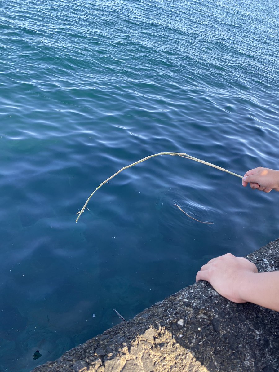 Tsuraseru Tsuraseru Twitter