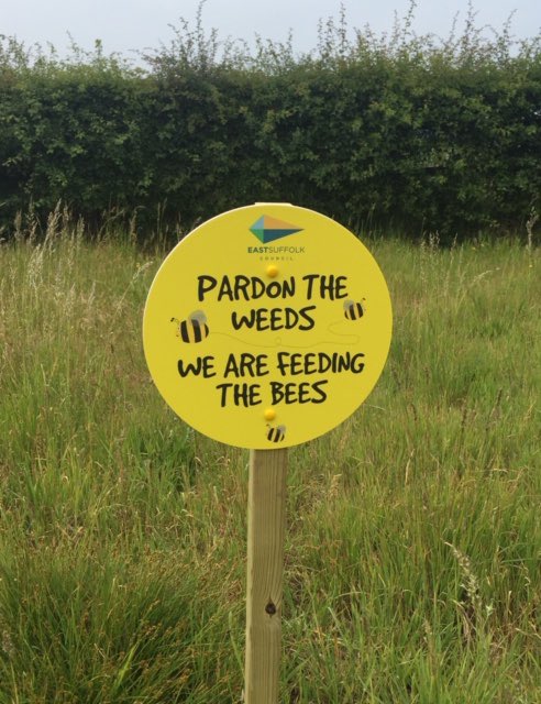 Martha Kearney (@marthakearney) on Twitter photo Interesting initiative by ā¦<a href="/EastSuffolk/">East Suffolk Council</a>ā© council ā40 areas across East Suffolk are now being managed as 'wild spaces' where grass will be left to grow longer and wildflowers will be planted to help wildlife to thriveā #bees Interesting initiative by ā¦<a href="/EastSuffolk/">East Suffolk Council</a>ā© council ā40 areas across East Suffolk are now being managed as 'wild spaces' where grass will be left to grow longer and wildflowers will be planted to help wildlife to thriveā #bees