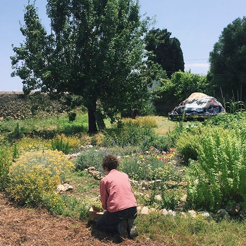 pamapamcat's tweet photo. Aquest estiu us proposem visitar finques de producció agroecològica de fruita i verdura de #pamApam:
🥦 @tempsdeterra a #Amppsta https://t.co/nXuhWbfpSP
👩🌾 Sències Can Girona a #Sitges https://t.co/6jGM4Ad1t3
#femESStiu col·laborant a la sostenibilitat del patrimoni rural! https://t.co/SCDZAPrKV7