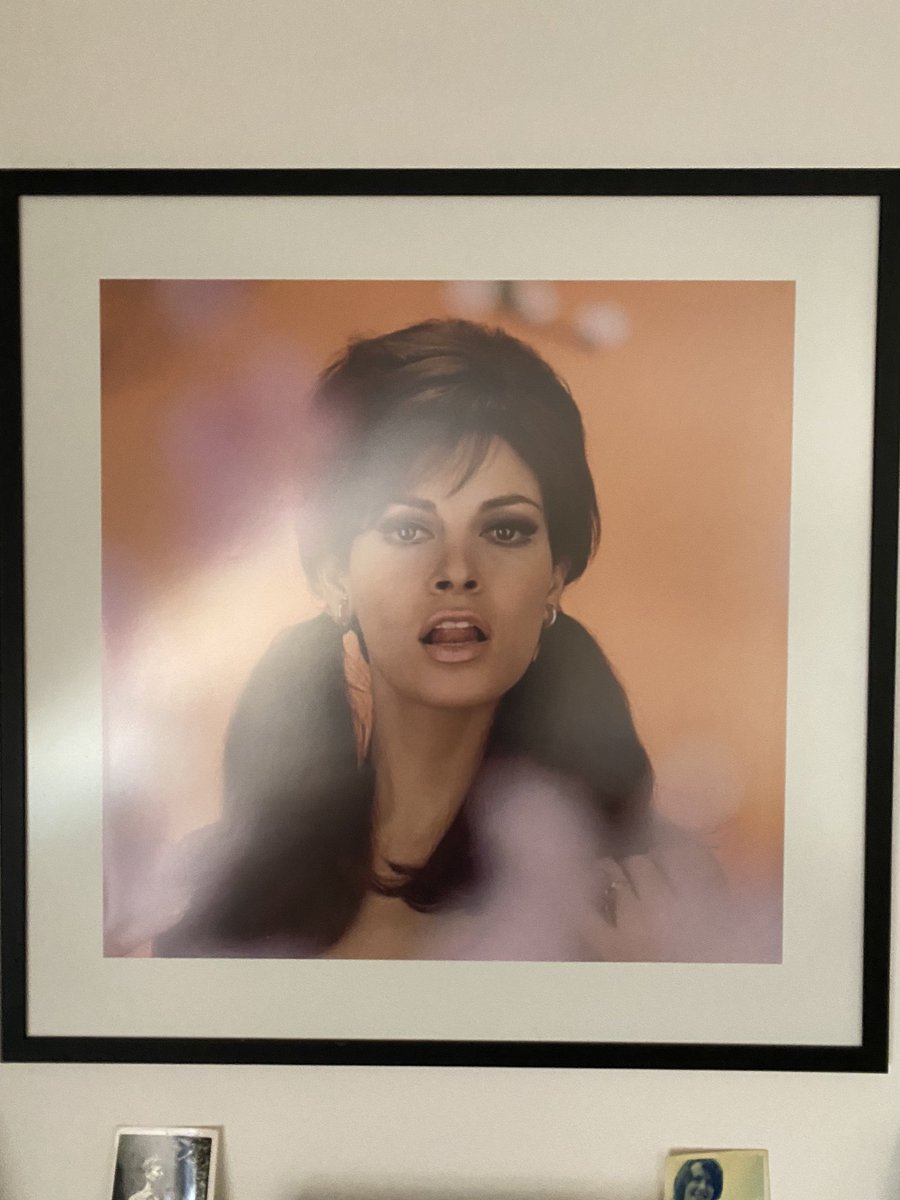 thegingerpirate's tweet photo. @AdrianEdmondson Got her in my lounge https://t.co/BWAC91xSzZ