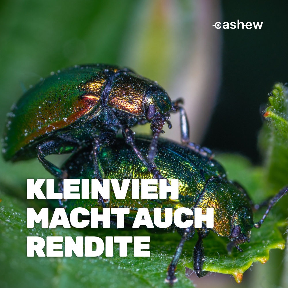 _christian_hass's tweet photo. Gemeinsam mit dem @sparkassen_hub und potentiellen Kunden haben wir vor zwei Jahren die Idee zu #cashew entwickelt. Eine Lösung für den spielerischen Einstieg in Wertpapiere mit Hilfe von #MicroInvestments 

Jetzt ist Zeit für Kundenfeedback 🚀#BetaTest 

https://t.co/pXUGrVQeO9 https://t.co/uGO0m28lwB