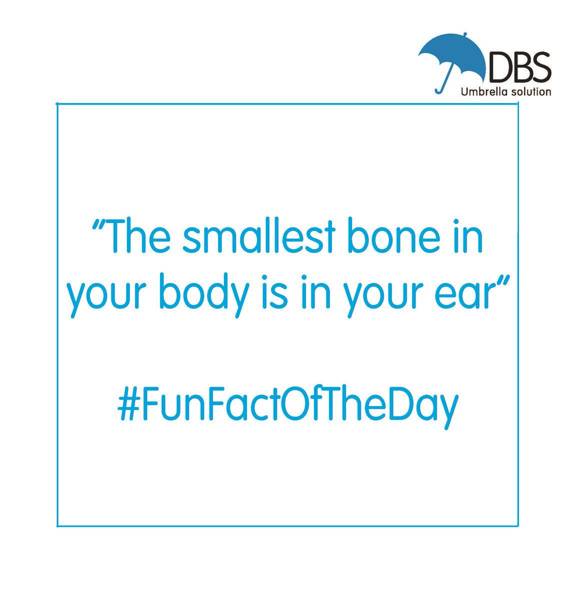 dbscheckservice's tweet photo. Fun Fact Of The Day! #DBS #dbscheck #online #updateservice #tuesday #enhanced #standard #volunteer #funfact #humpday #wednesday https://t.co/ynG3VNj5ES