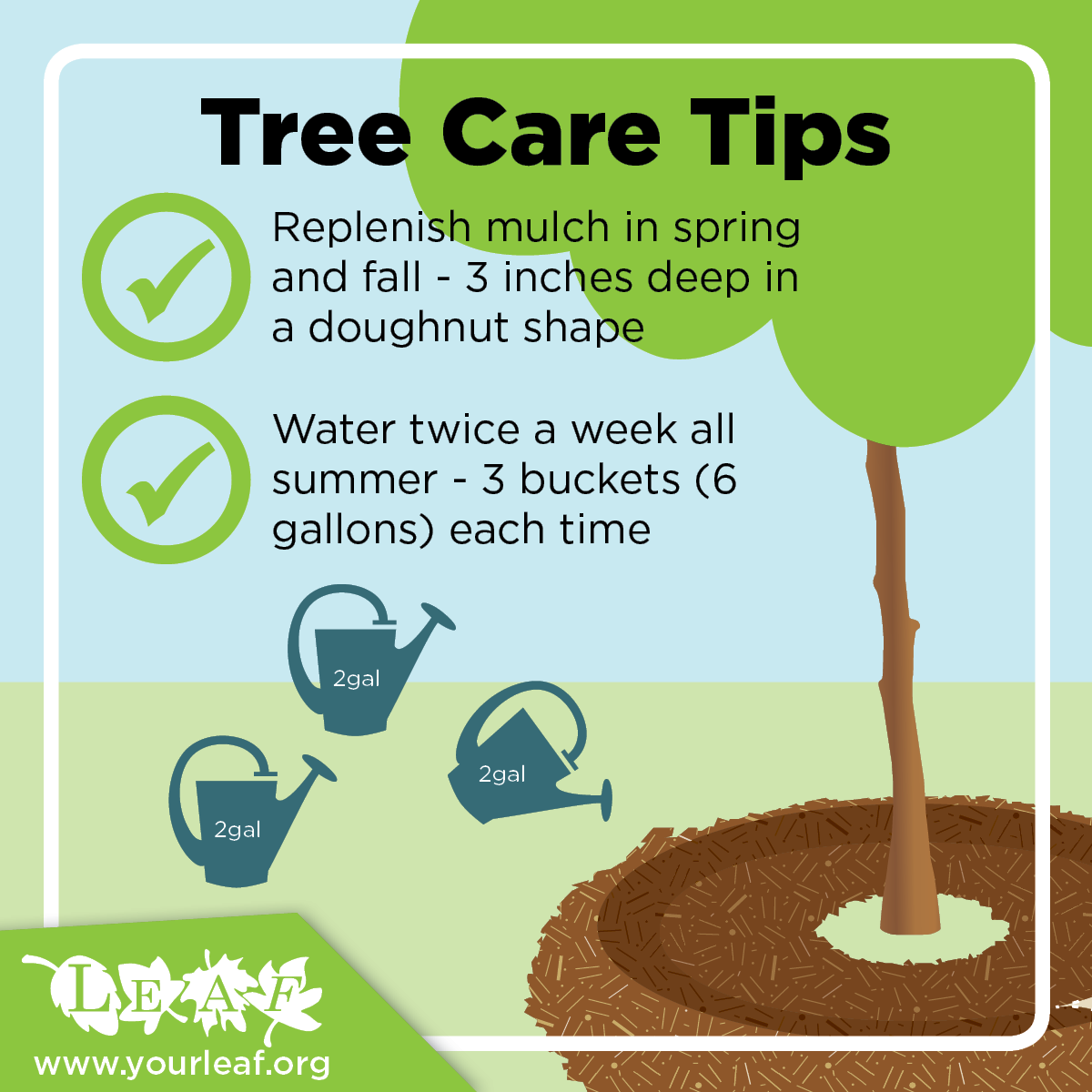 leaf's tweet photo. Water is the key to life! Young trees should be watered twice per week using approximately 6 gallons (3 watering cans) of water each time... even when it rains! Check the soil under the mulch, if it's dry then it's time to water! More on tree care: https://t.co/LA7VLFLya1 https://t.co/BXHJhaic5j