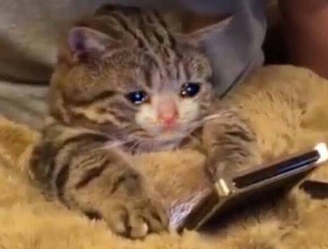 Minnie que ama a Rosé and Lisa tweet media