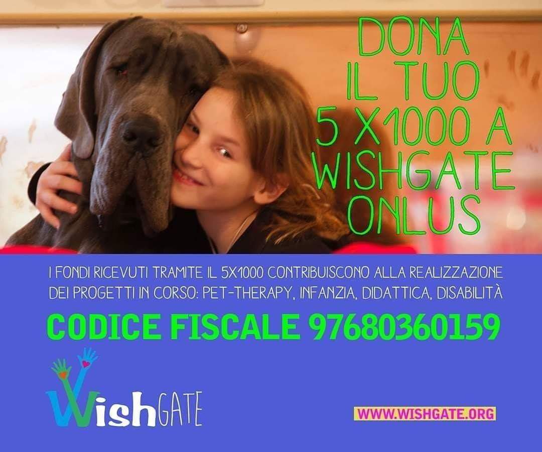 Wishgate_'s tweet photo. 5️⃣❌1️⃣0️⃣0️⃣0️⃣

🙏❤️🌈
https://t.co/qsd85CLD3N
5X1000 - cod. fisc. 97680360159 - modelli per la dichiarazione dei redditi / CU / 730 / UNICO https://t.co/uYPHZ1N8nR
