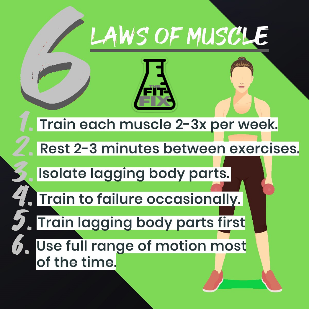 jstjason's tweet photo. Want to look sleek and toned?
-
Build muscle! Here’s how. 
-
Still confused? We're here to help. Save this post and ask your question about what any of this means for a chance to be featured on an upcoming post!
-
#fastfitness #fithabit #changemaker #fitness #getyourfix #running https://t.co/i5EnVjRFBx