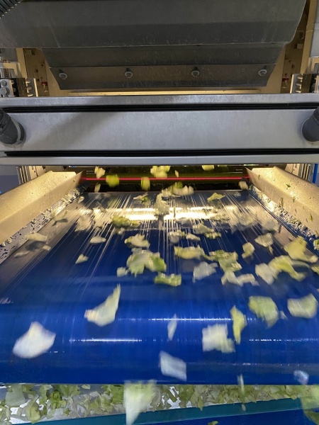 Postharvest_Dir's tweet photo. RAGO Group is one of the leading Italian producers of washed, packaged and ready-to-eat #salad, and the second biggest exporter of rocket in Europe. @TOMRAFood machines guarantee the selection #minimallyprocessed #postharvest #poscosecha #postcosecha https://t.co/lFJX6sspPd https://t.co/YYLKliyX3q