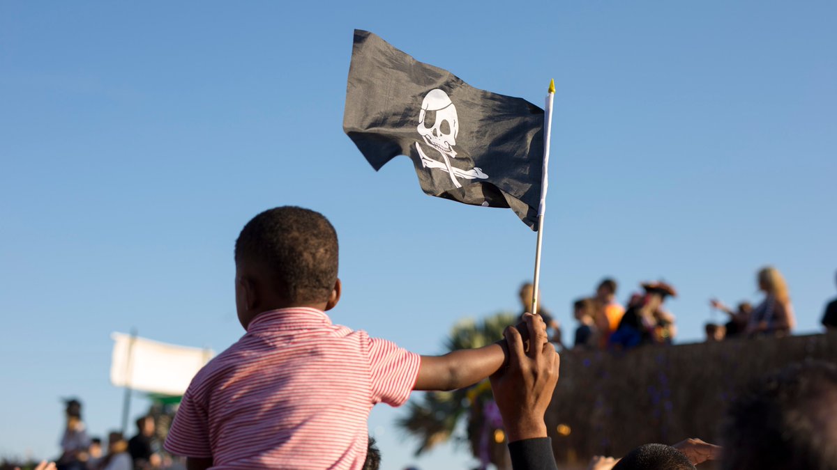 visittampabay tweet media