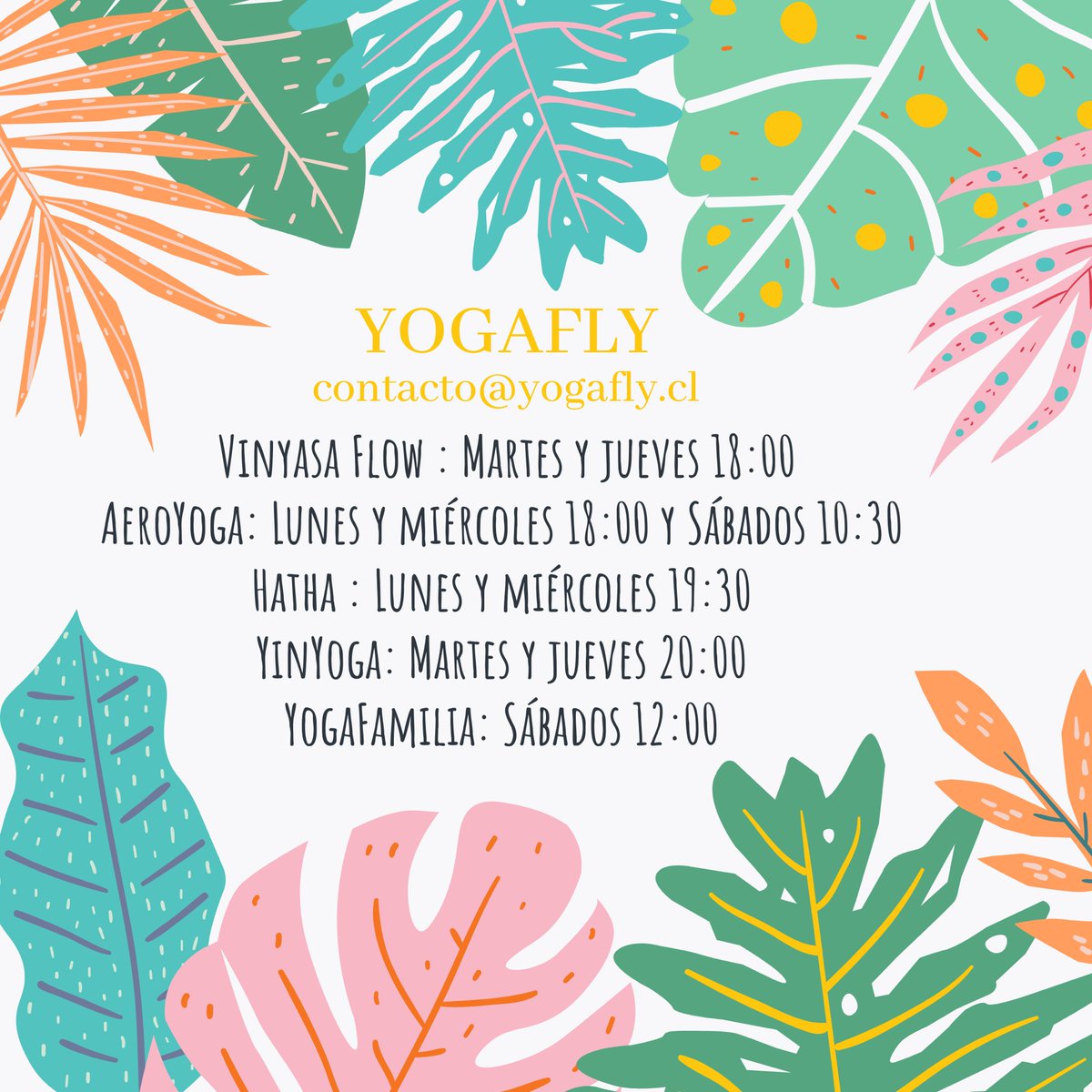YogaFlyChile's tweet photo. Nuevas clases de #yoga #yogaonline Plan ilimitado accede a todas las clases en vivo! https://t.co/o2Khco0eOm