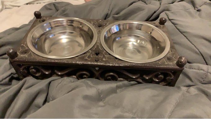 Check out these cute #cat bowls we got last night! Super cute! https://t.co/CtUUcNBGm8<a href="/tag/cat"class="tags">#cat</a>