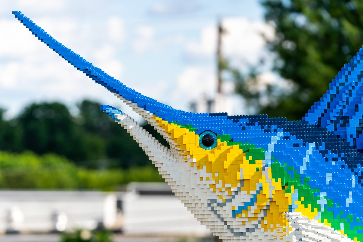 LehighValleyPA's tweet photo. Today @davinciscience launches #BRICKLIVEOcean featuring 25 awe-inspiring sculptures of marine life, built from 1,000,000+ interlocking construction toy bricks. Advanced reservations required: https://t.co/84MjdWRAo9. #LVMadePossible https://t.co/zXPkJtHI4i