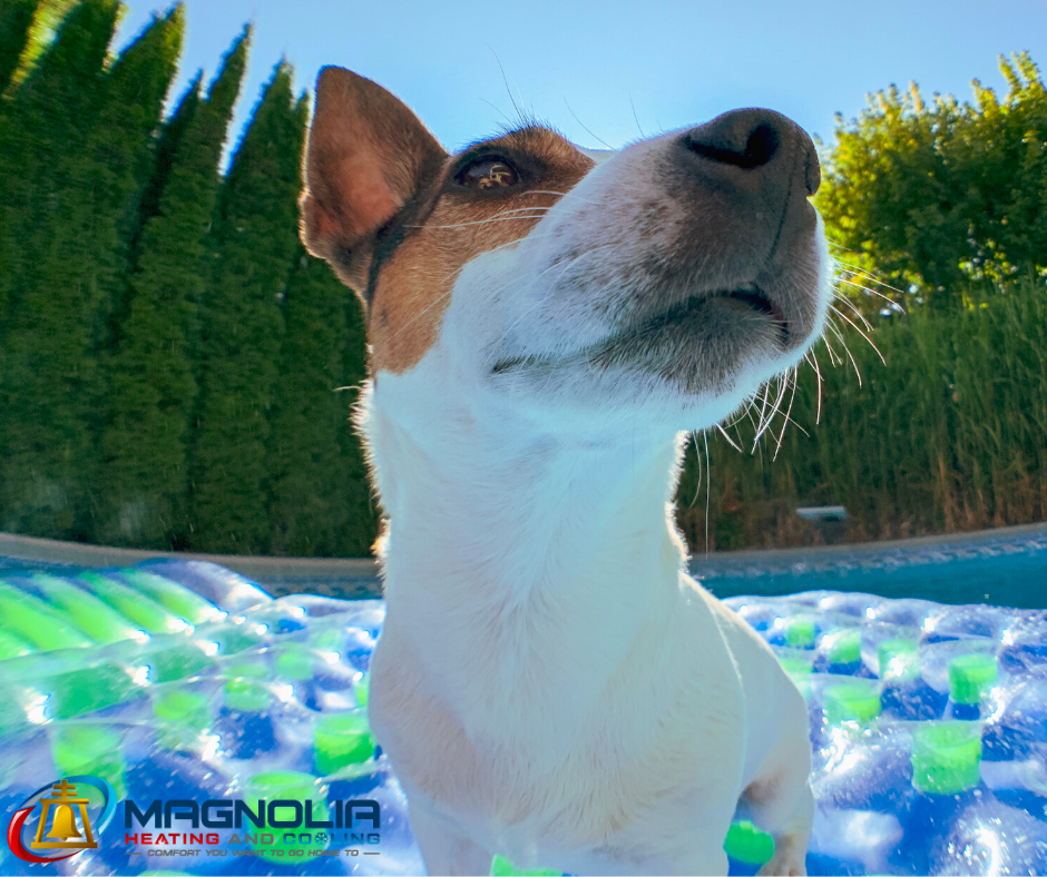 maghvac's tweet photo. You deserve a fun summer without any HVAC issues! https://t.co/N9J77oACyD https://t.co/4GEOKpfzWt