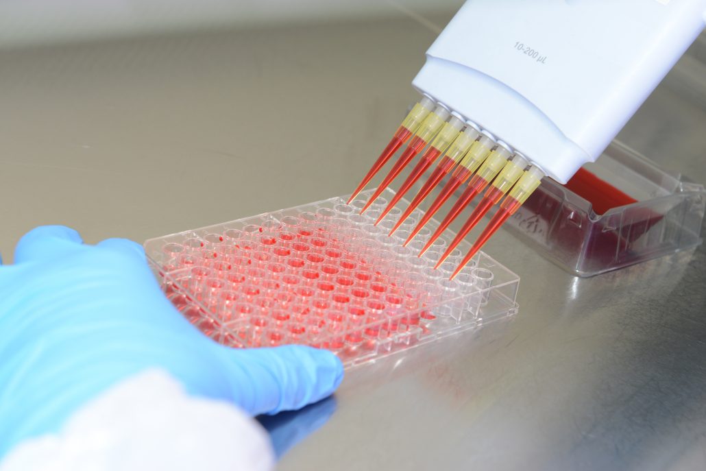 inmunotek's tweet photo. El departamento de I+D👩🔬 de #Inmunotek cuenta con #laboratorios bien equipados💉 de proteómica, biología molecular e inmunología https://t.co/BHzKzzxKmm https://t.co/nDFDRHn1b9