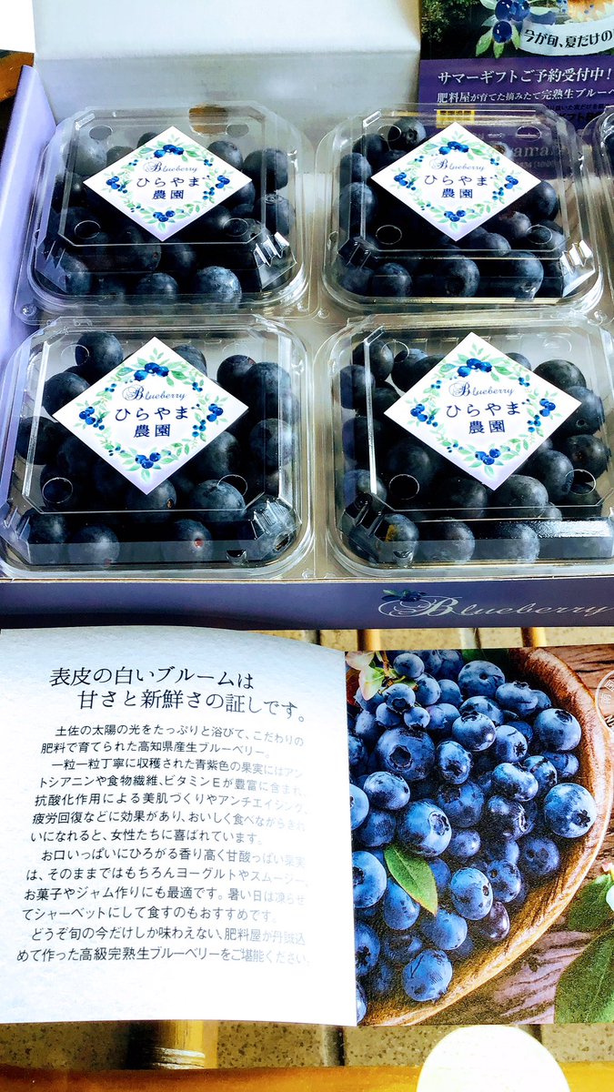 道の駅南国 風良里 美味しいブルーベリーの基準を全てクリアしてます まるで 甘い甘い紫色の宝石 ひらやま農園 さんの ブルーベリー 美味しくて新鮮なブルーベリーの証 ブルームと呼ばれる白い粉がしっかり付いてます T Co Qahx1jklb4