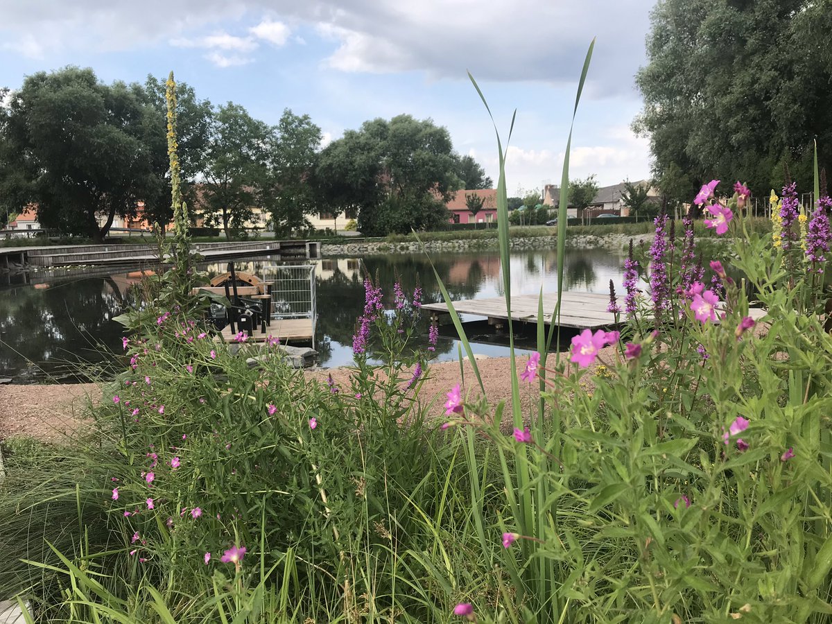 Kucerova_uci's tweet photo. New biotope in the centre of Bratčice, South Moravia. Designed to catch rain water, favourite among children, enabling watering, cooling down its surroundings. Each village in the country should have project similar to this within several years, minister Brabec /ANO/ said. https://t.co/8c6TEfjPfr