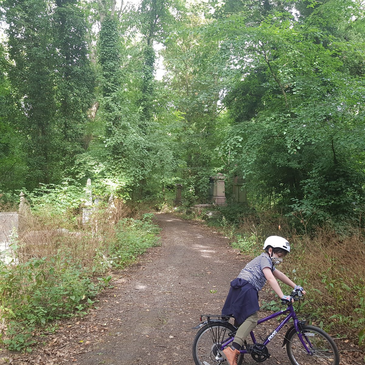 cat__ryan's tweet photo. Beautiful ride out this morning in #peckhamrye #NunheadCemetary https://t.co/nqxgu2xxDN