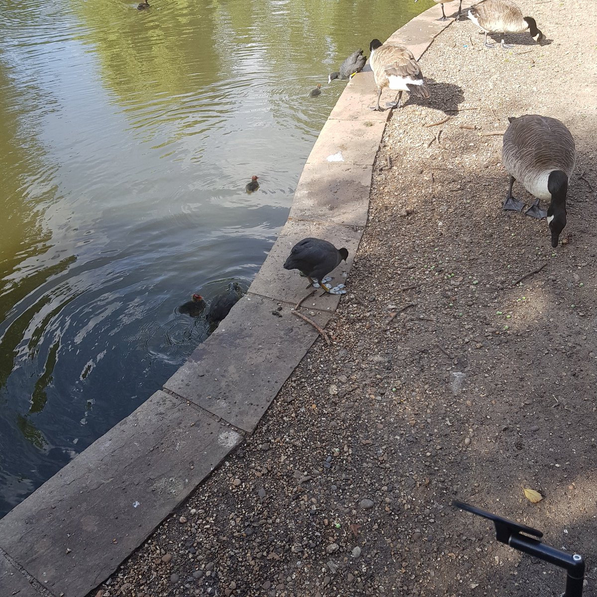 cat__ryan's tweet photo. Beautiful ride out this morning in #peckhamrye #NunheadCemetary https://t.co/nqxgu2xxDN