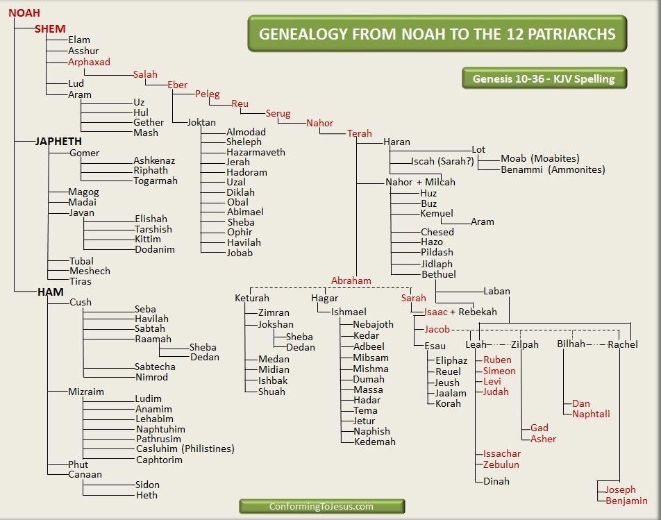 3-Most "JewISH" ppl in Israel now r Ashkenazi, Sephardic, etc. They are NOT SEMITIC4-The word "Jew" DERIVES from Biblical word "Judah". Judah was 1 of Israel's (Jacob) sons. Jacob was descendant of Shem. AGAIN, these "JewISH" ppl today are not Shemitic, let alone real Jews.