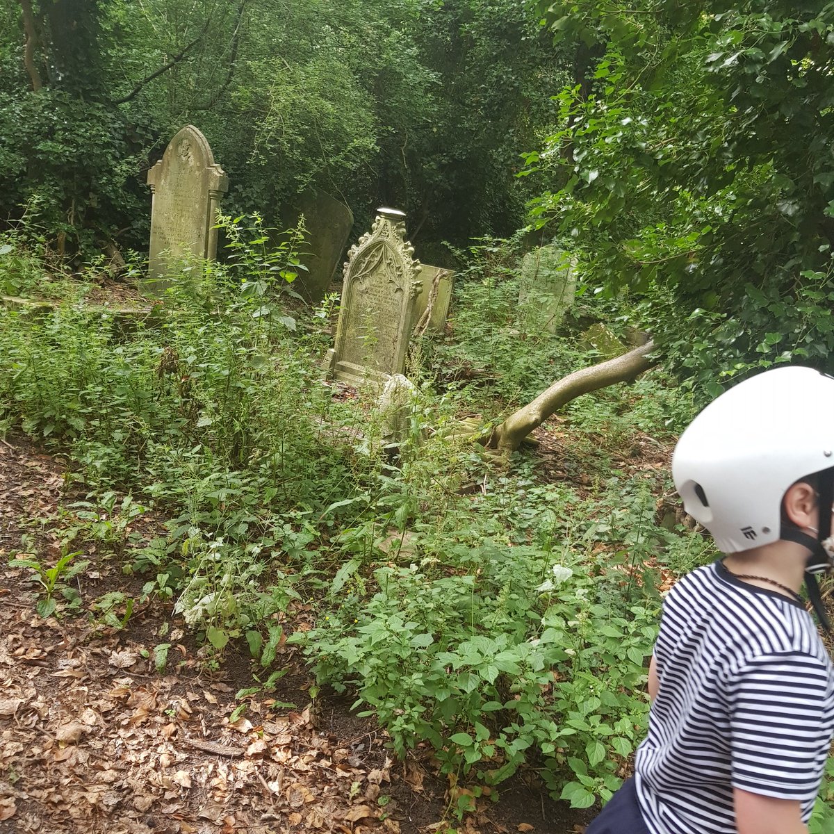 cat__ryan's tweet photo. Beautiful ride out this morning in #peckhamrye #NunheadCemetary https://t.co/nqxgu2xxDN