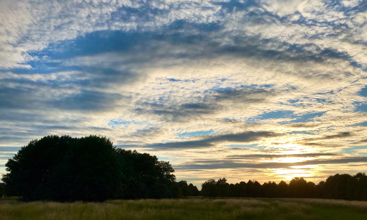 A serene moment under a superbly textured sky yesterday evening 😌😍