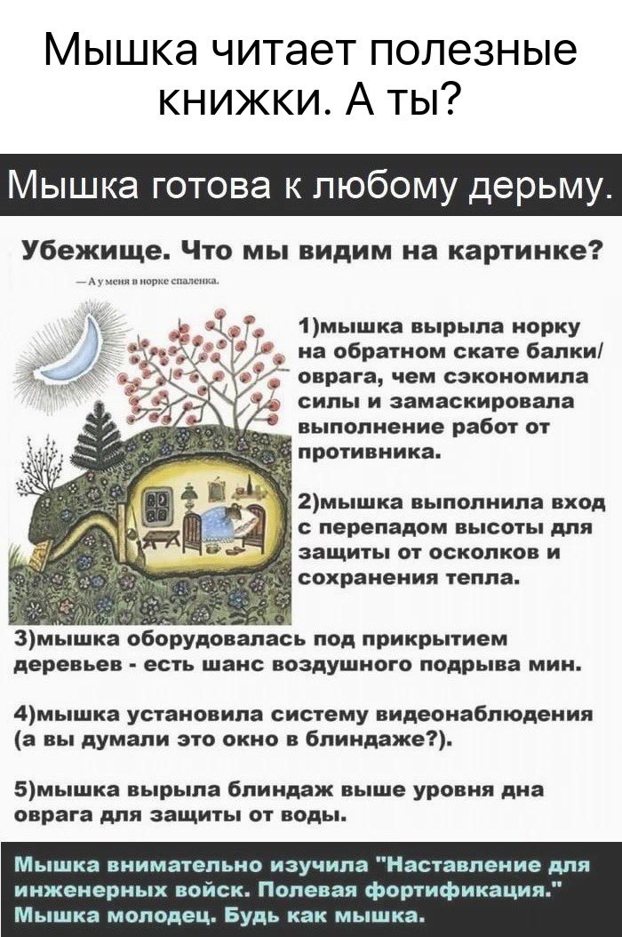 djangur's tweet photo. Будь как мышка 😁 https://t.co/H1B1NZ7IDj