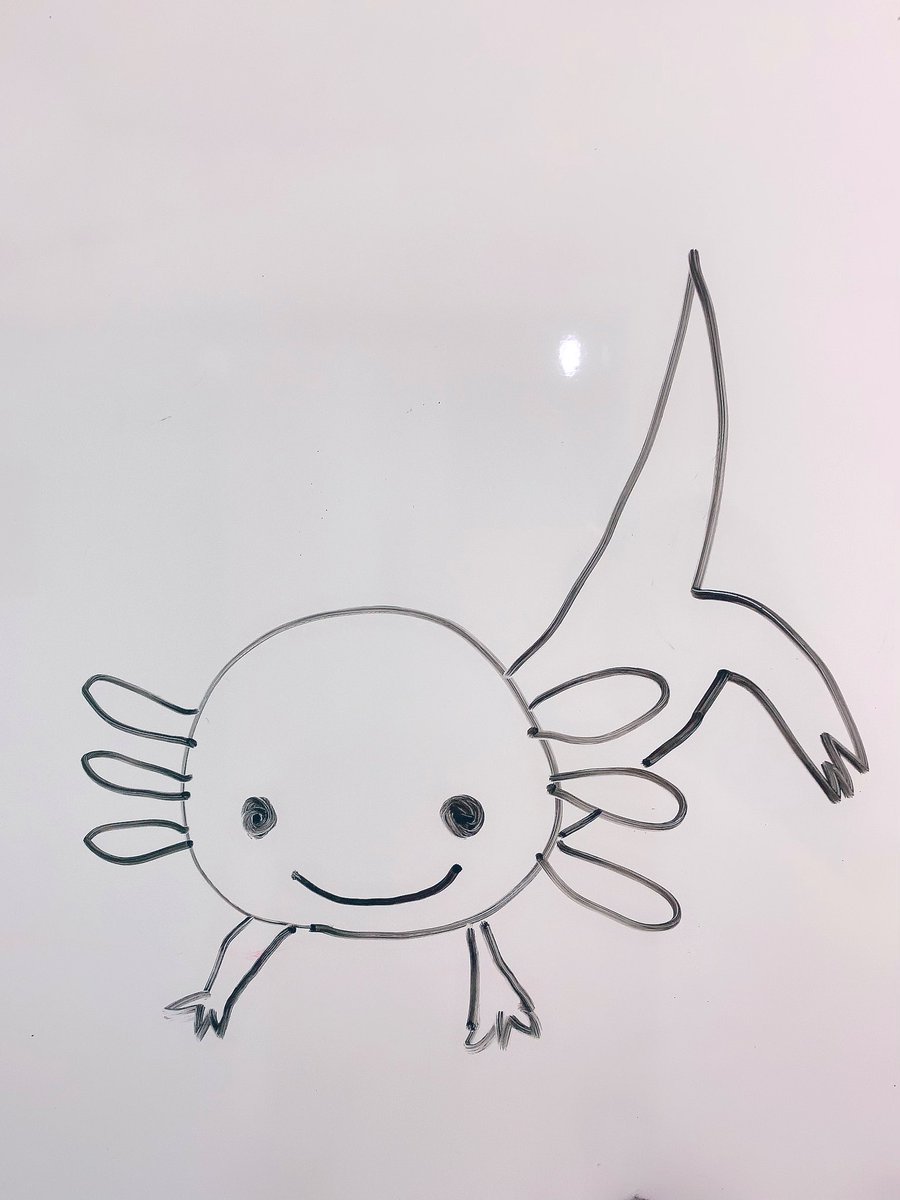 ウーパールーパーかわいい