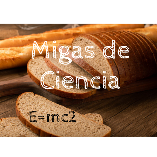 eduscopi's tweet photo. 🍞 Divulgació científica sortida del forn!

El #blog #SciCommUVic bull amb els últims treballs de l'edició d'enguany: entrevistes d'actualitat, 📻 programes de #podcast que t'atrapen, vídeos insòlits...

Entra-hi i deixa't sorprendre! 😯👉 https://t.co/zv1CTkoA0s

#AprendreFent https://t.co/yvA8o0HDkr