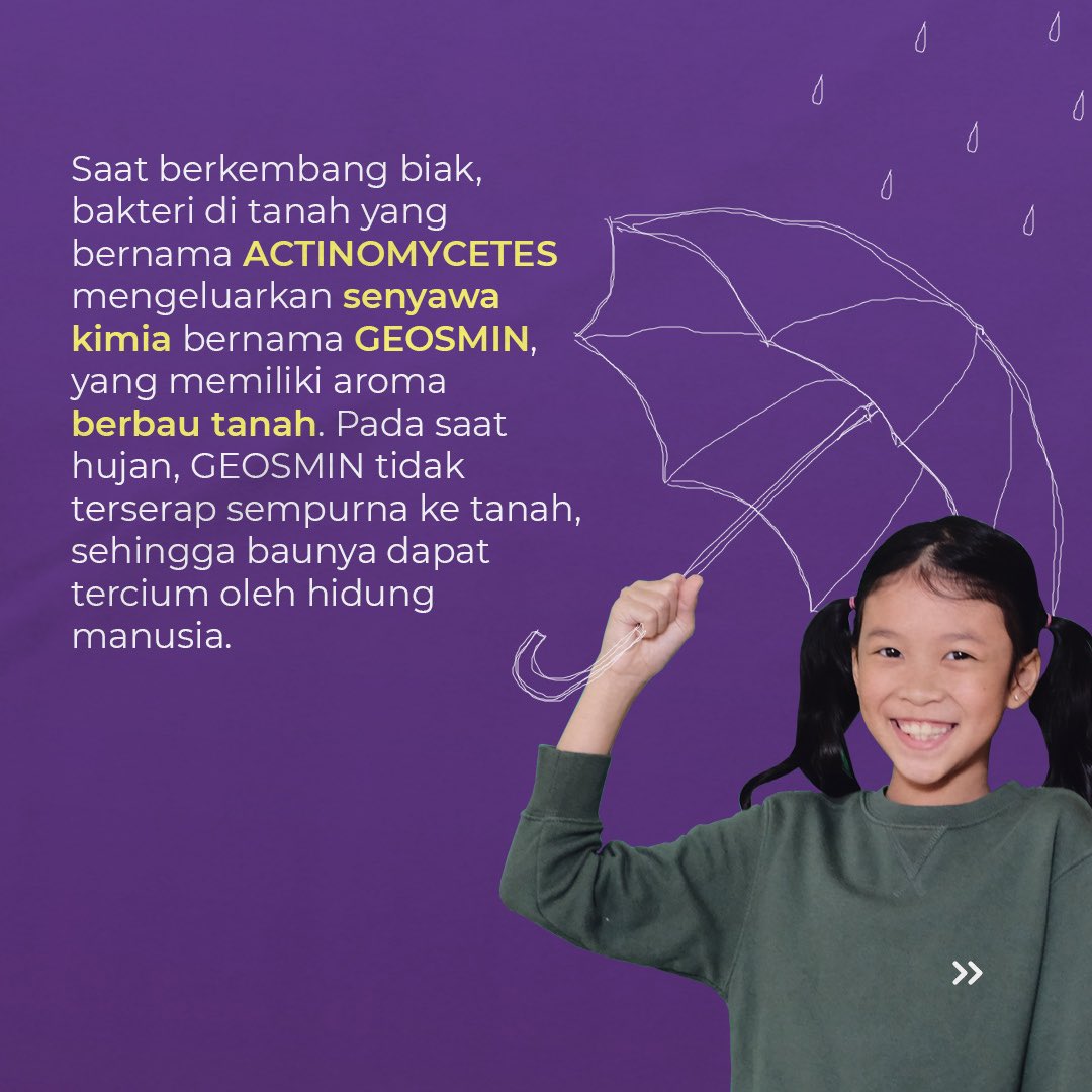 PlanetariumIMI's tweet photo. KENAPA YA SETIAP HABIS HUJAN, ADA BAU UNIK.

Segar ya bau sesudah hujan. Banyak yang tidak tahu kalau bau sesudah hujan punya istilah khusus yaitu PETRICHOR. Ternyata, ini akibat dari fenomena alam dan senyawa kimia. Cari tahu yuk, sebenernya apa itu petrichor! https://t.co/lXu7lahBUB