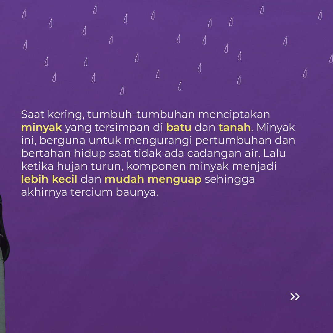 PlanetariumIMI's tweet photo. KENAPA YA SETIAP HABIS HUJAN, ADA BAU UNIK.

Segar ya bau sesudah hujan. Banyak yang tidak tahu kalau bau sesudah hujan punya istilah khusus yaitu PETRICHOR. Ternyata, ini akibat dari fenomena alam dan senyawa kimia. Cari tahu yuk, sebenernya apa itu petrichor! https://t.co/lXu7lahBUB