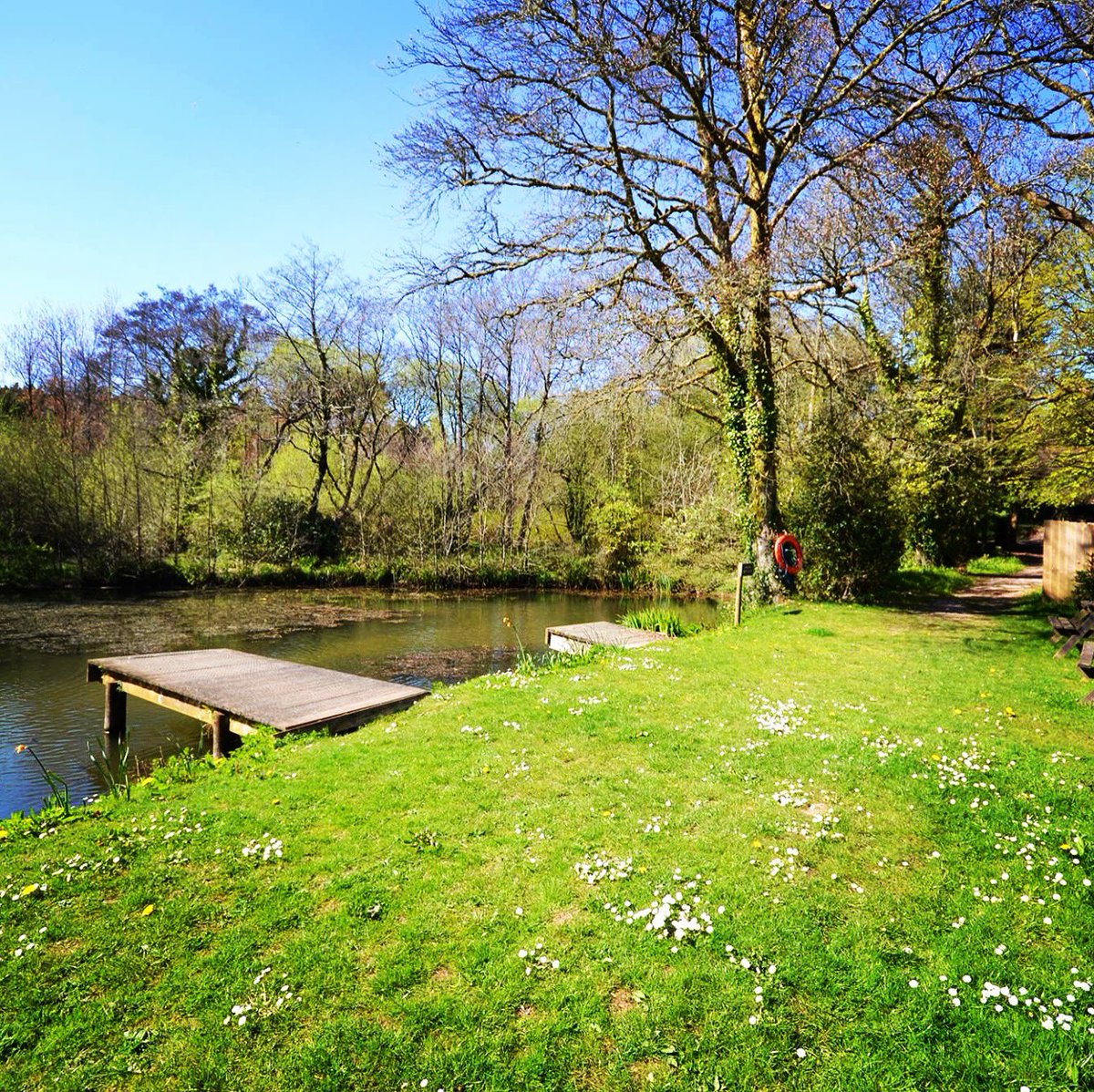 cottage_hope's tweet photo. We have had a cancellation for 4 nights from 22 August.  We are doggy and family friendly and our outdoor pool is now open. https://t.co/oM88yzRWn0 https://t.co/RbXnwnuSJ9