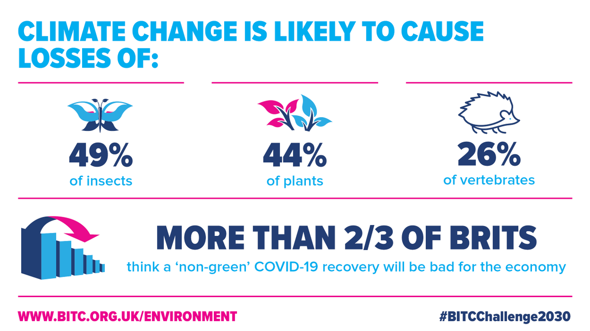 These are just some reasons why we, and others in the water industry, have committed to net zero carbon by 2030.  Find out more about #BITCChallenge2030, #ClimateAction and #BuildBackBetter at bitc.org.uk/Environment/