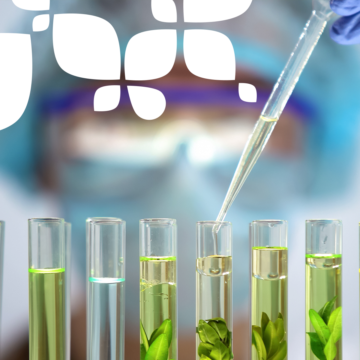 aepla_asoc's tweet photo. El desarrollo de una legislación estable y basada estrictamente en criterios científicos, que favorezca la #innovación en #SanidadVegetal, es esencial para el futuro de nuestra #agricultura.
🔬🌱❤️
#SinTiNoSoyNada🌱💚
#DelLabAlCampo🔬➡️👨🌾 https://t.co/gNII8PJLY3