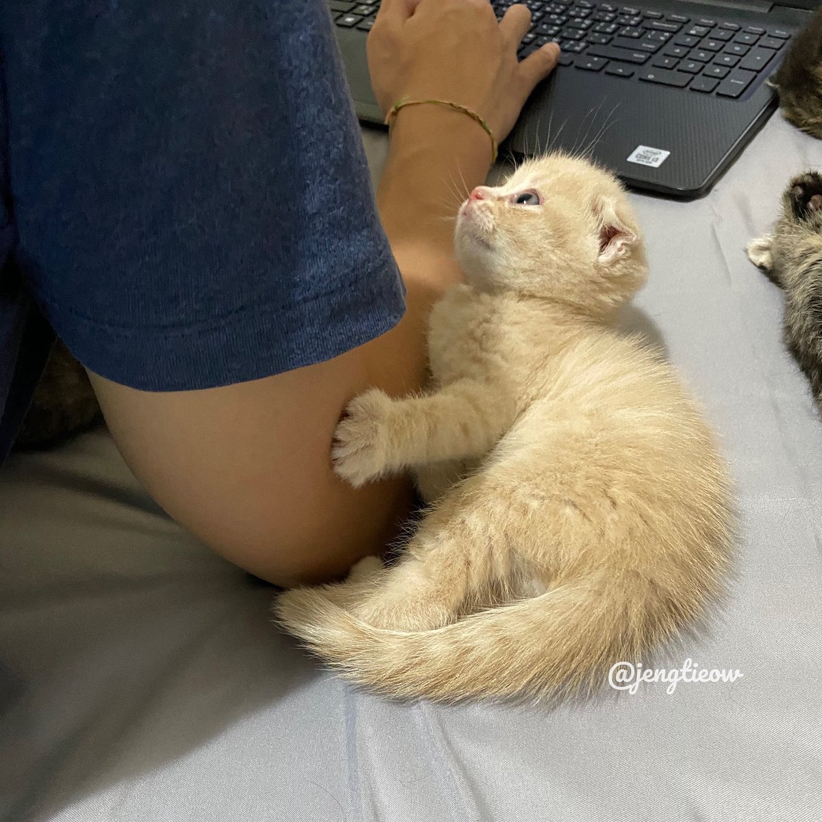 พี่เจ๋งน้องเตี๋ยวไม่ตีกันสิลูกกก tweet media
