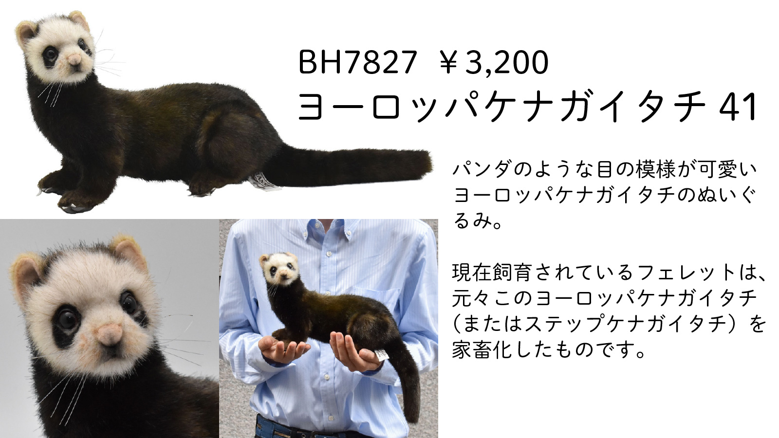 Hansa ハンサ 担当が席を外しているスキにタブレットをいじるハンサたち 自分たちの自撮りをアップするよう迫られています 話題の うるうるの瞳 がかわいい メガネザルとヨーロッパケナガイタチのぬいぐるみです 商品詳細はリプライへ Hansa Hansa ハンサ 担当が席を外しているスキにタブレットをいじるハンサたち 自分たちの自撮りをアップするよう迫られています 話題の うるうるの瞳 がかわいい メガネザルとヨーロッパケナガイタチのぬいぐるみです 商品詳細はリプライへ Hansa