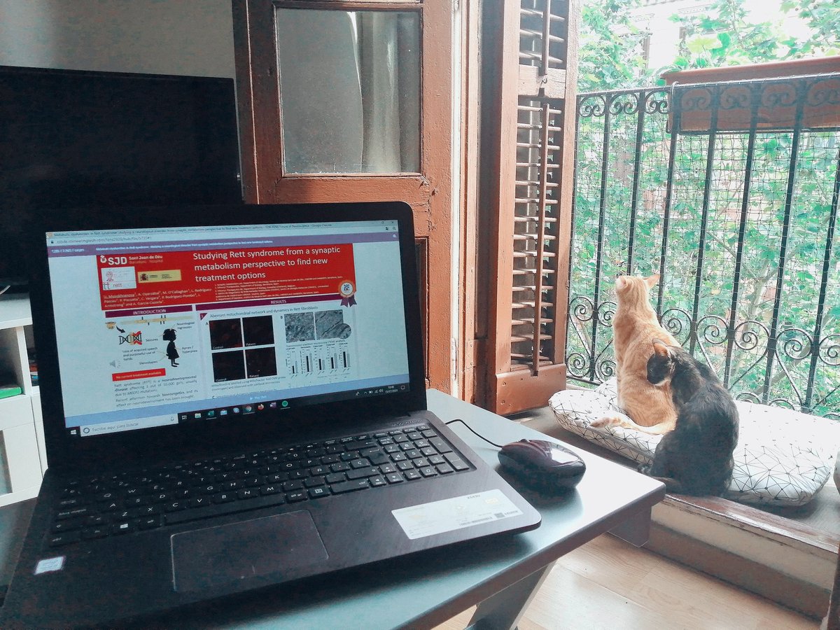 We're ready for the morning poster session! #FENS2020poster Come to poster 2160 and let's chat about #Rett and modulating mitochondrial dysfunction. 

Good company is guaranteed 🐱🌿 #FENSathome #FENS2020