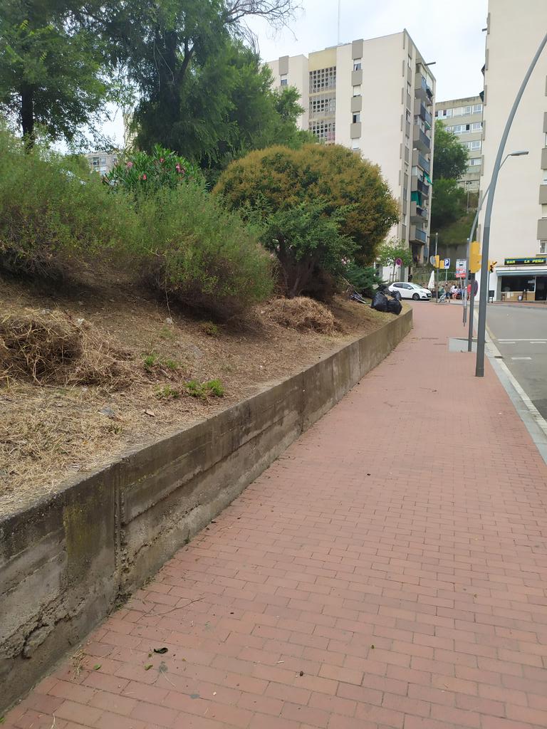 marianotb's tweet photo. Molt bé la gent del pla d'ocupació. Barri net. Bona feina que hi ha molta.
Els plans d'ocupació són una eina puntual de neteja, però la estructura base de neteja de zona nord de @bcn_ajuntament és moltes vegades insuficient. I les veïnes i veïns hem de col·laborar més #barrinet https://t.co/Ir6GoPhsVP