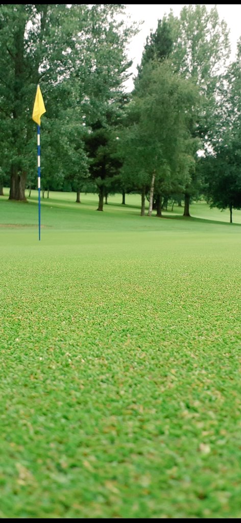 IPGCourseupdate's tweet photo. Course coming up really well again today @IngestreParkGC . Great putting surface and a nice reading of 10ft - well done team @IanDaviesEEEgol @andyb381 @RobRockAcademy @robrockgolftour @natclarkegolf @MidlandsGolfer https://t.co/fR53tjZ7wE