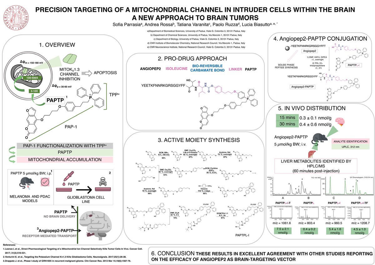 ParrasiaSofia's tweet photo. Ready to start the virtual poster session of #IYMCVMEET !
I am Sofia Parrasia, PhD student in Biomedical Sciences at the University of Padova
My work is focused on the brain delivery of a mitochondrial Kv1.3 channel inhibitor (P10).
@DCFSCI #cancer #synthesis
@PhD_DSB_UniPD https://t.co/XqCHcymAjK